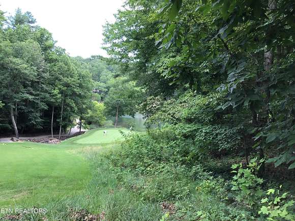 0.51 Acres of Residential Land for Sale in Fairfield Glade, Tennessee