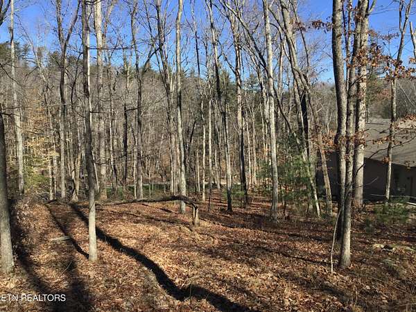 0.51 Acres of Residential Land for Sale in Fairfield Glade, Tennessee
