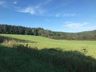 6.9 Acres of Residential Land for Sale in Hartwick, New York