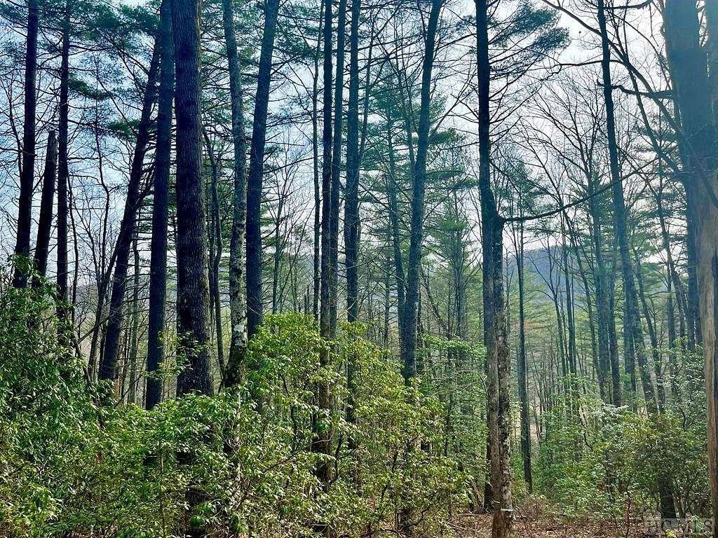 2.4 Acres of Land for Sale in Cashiers, North Carolina