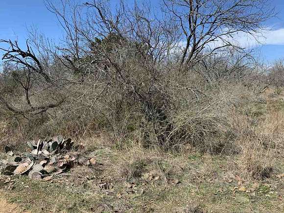 0.28 Acres of Land for Sale in Kingsland, Texas