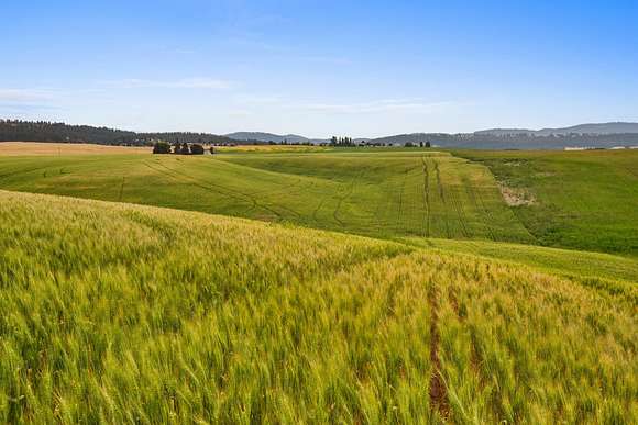 11 Acres of Land for Sale in Spokane, Washington