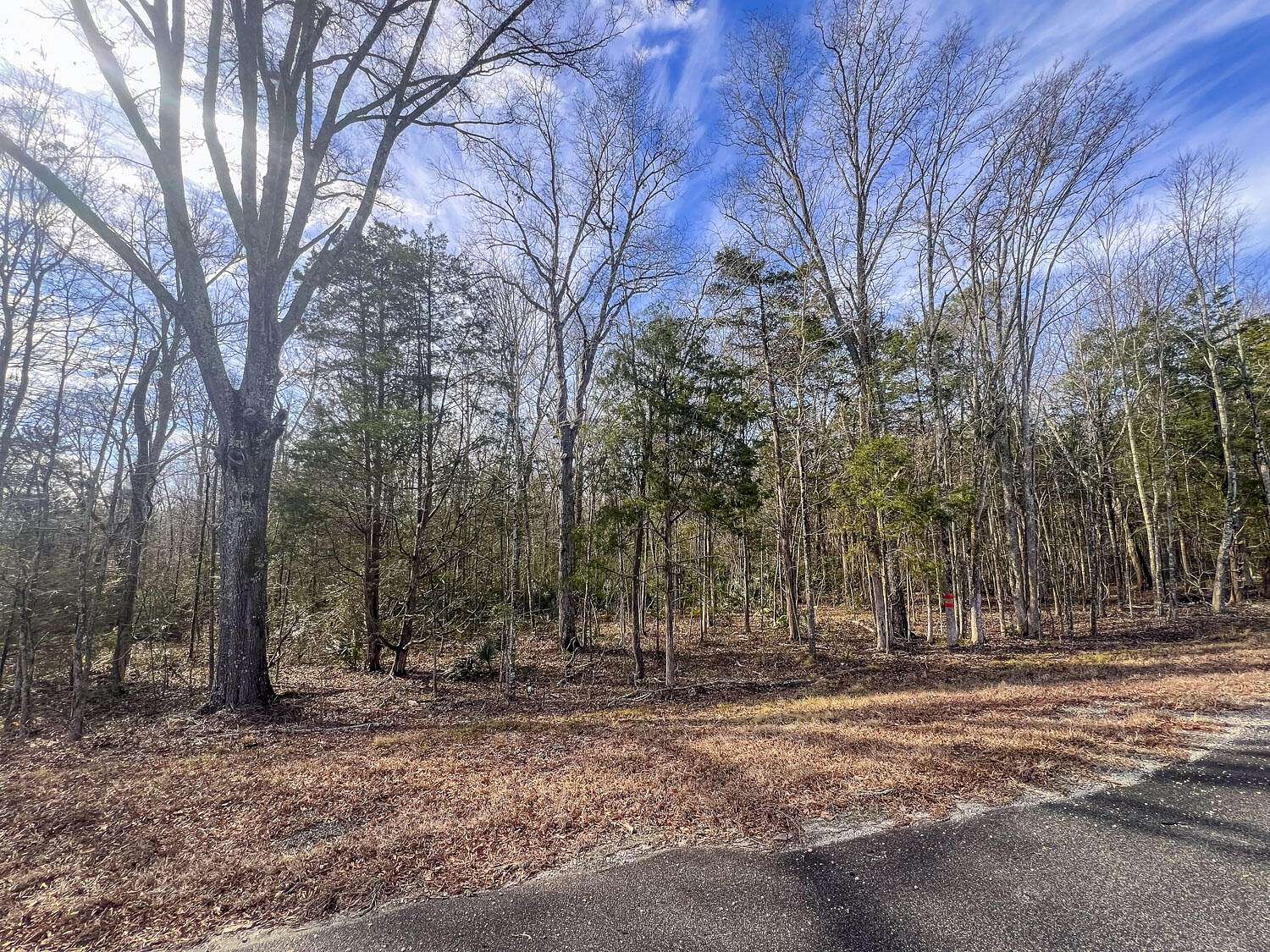 33.8 Acres of Agricultural Land for Sale in Lincolnton, Georgia