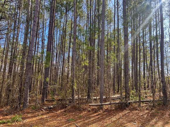 4.3 Acres of Residential Land for Sale in Dearing, Georgia