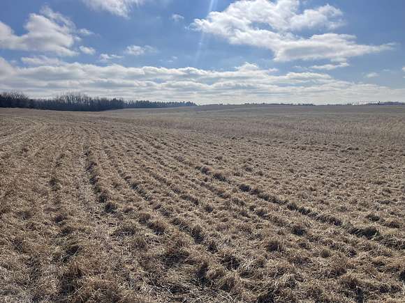 122 Acres of Agricultural Land for Sale in Bath, Illinois