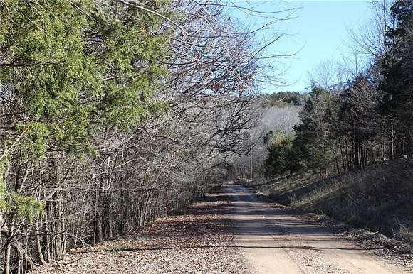 45.4 Acres of Land for Sale in Berryville, Arkansas