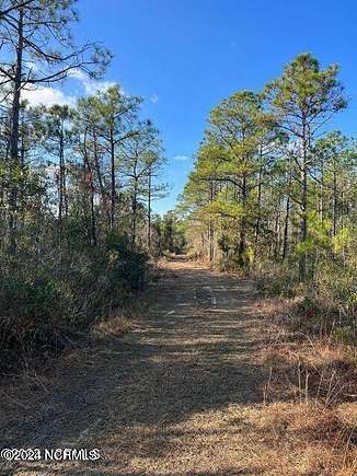54.1 Acres of Recreational Land for Sale in Hampstead, North Carolina