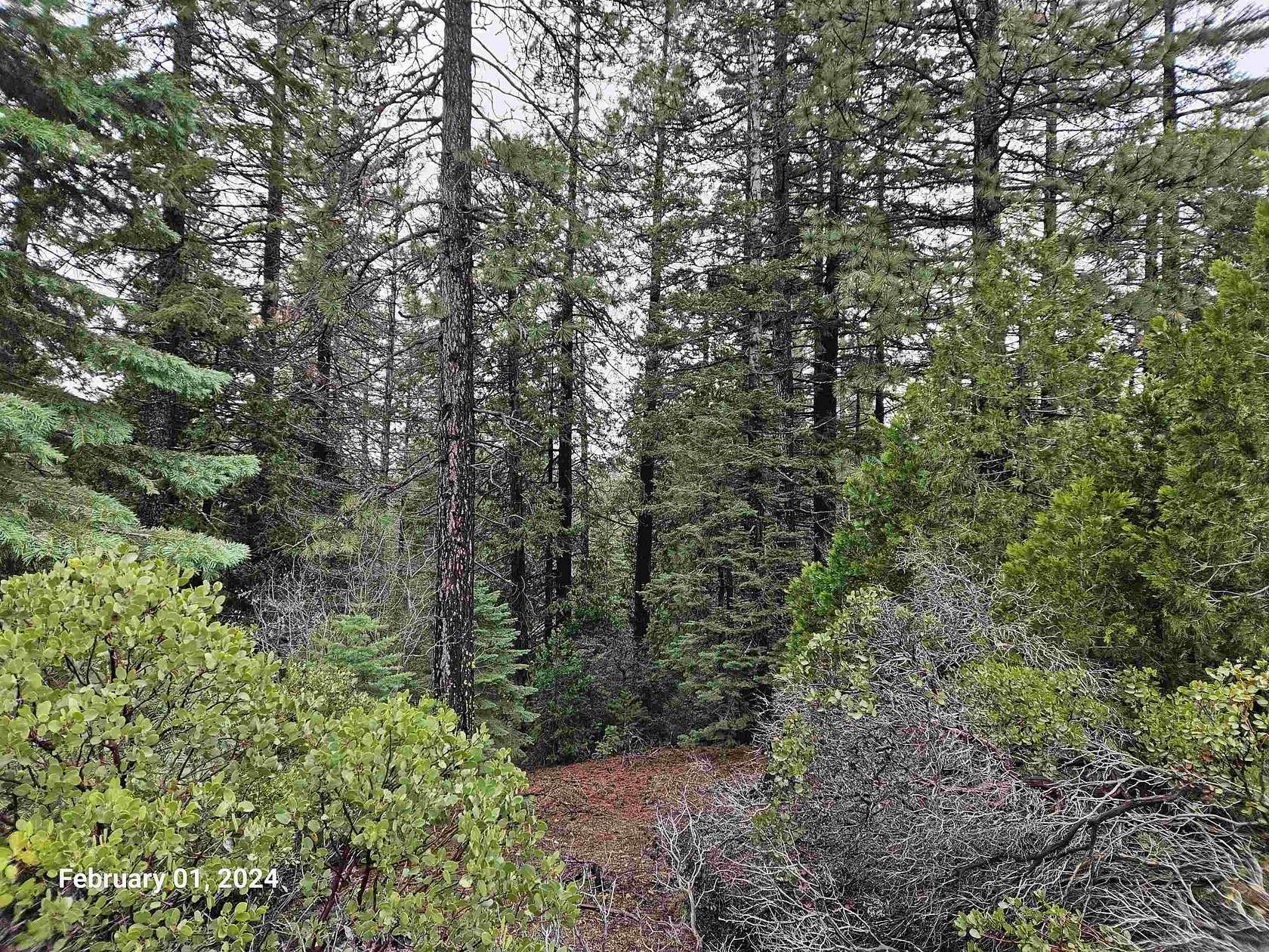 1.4 Acres of Residential Land for Sale in Mount Shasta, California