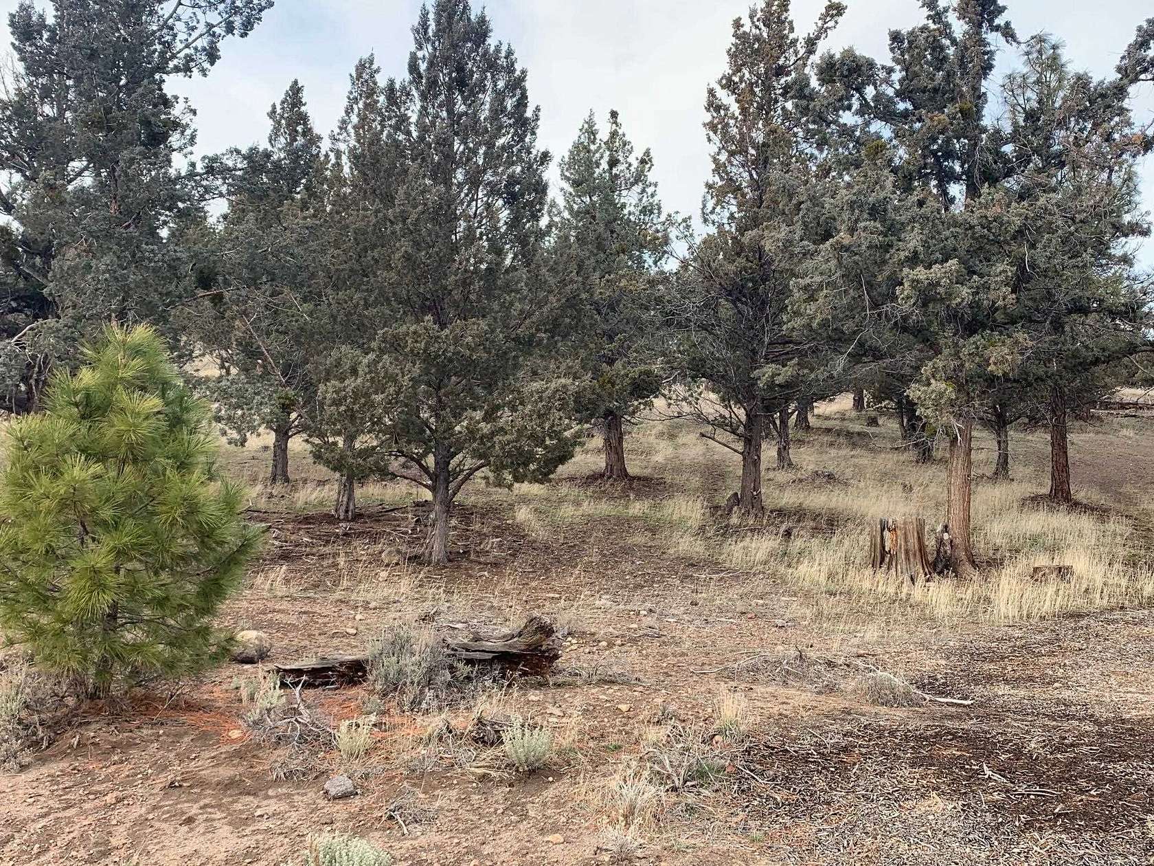 0.39 Acres of Residential Land for Sale in Weed, California
