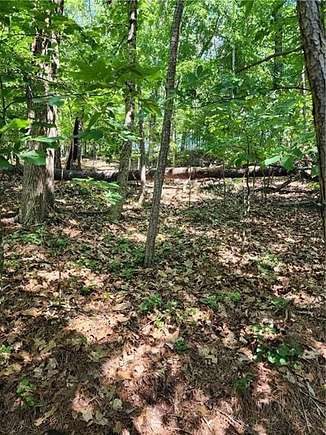 1 Acre of Residential Land for Sale in Sandy Springs, Georgia