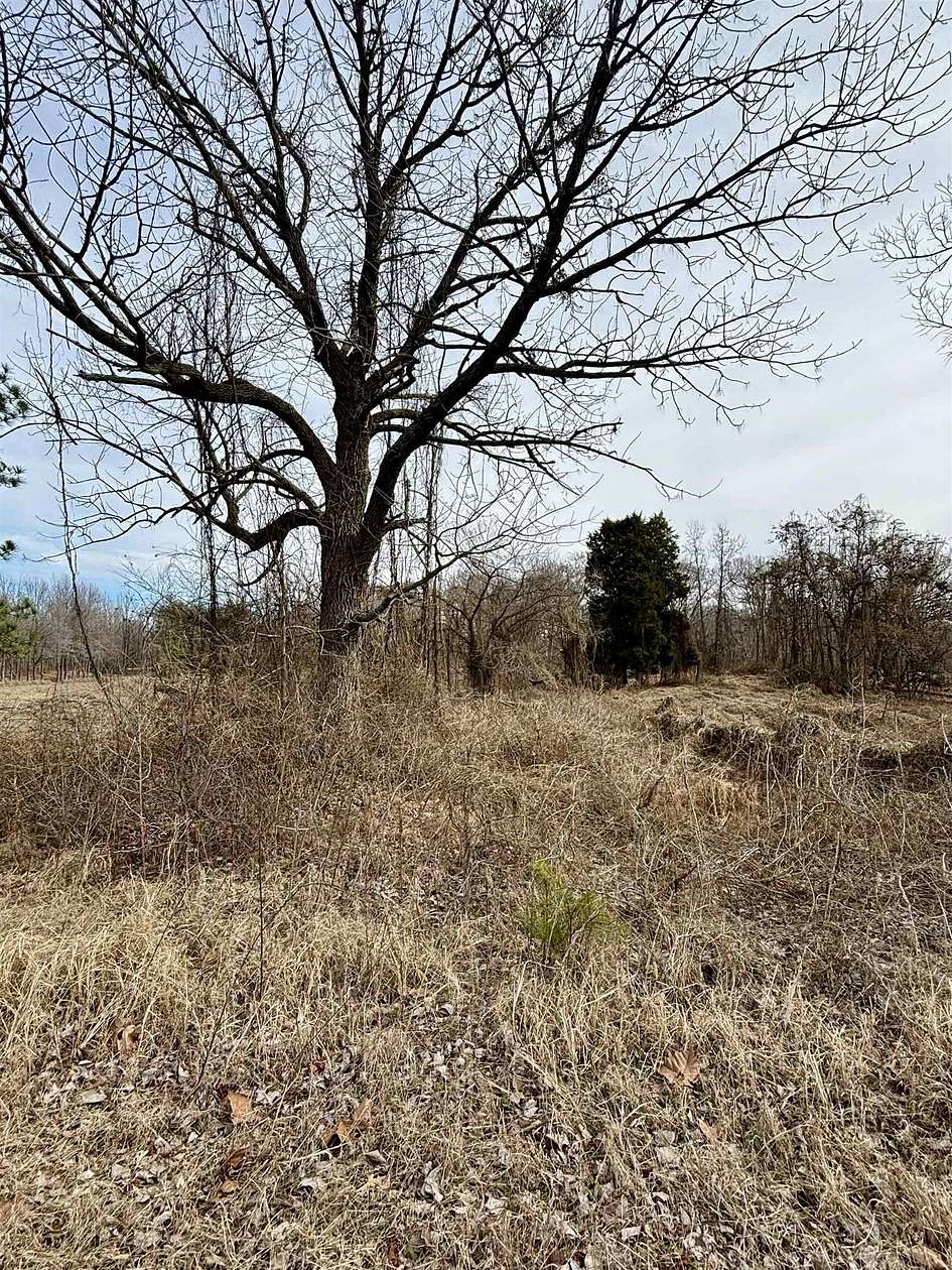 17 Acres of Land for Sale in Obion, Tennessee