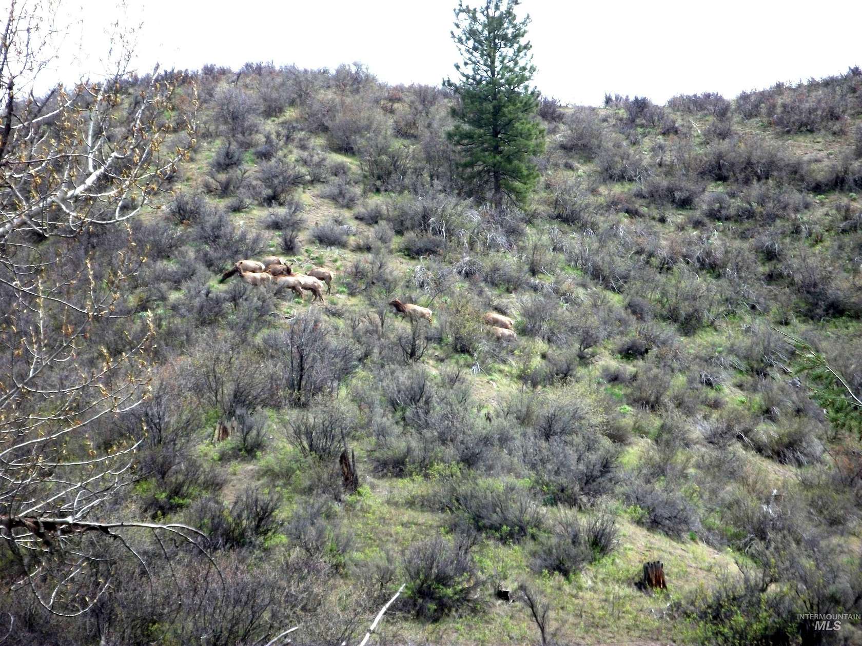 154 Acres of Recreational Land for Sale in Garden Valley, Idaho