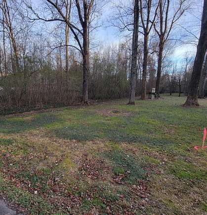 0.49 Acres of Residential Land for Sale in Flintstone, Georgia