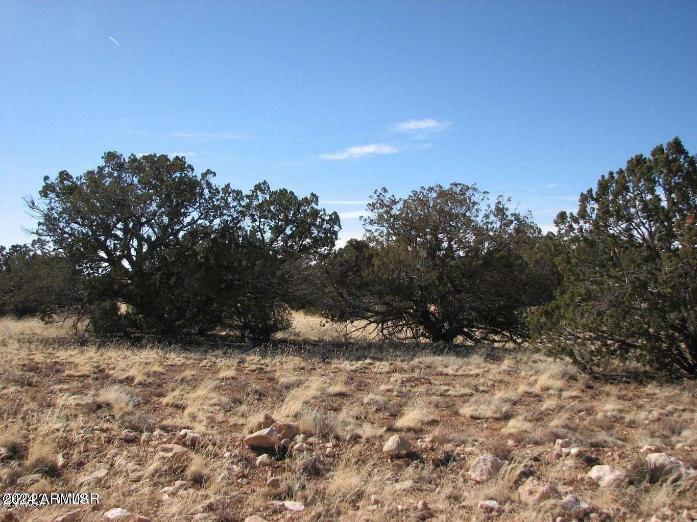 36.4 Acres of Land for Sale in Heber, Arizona