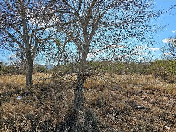 Residential Land for Sale in Bayside, Texas