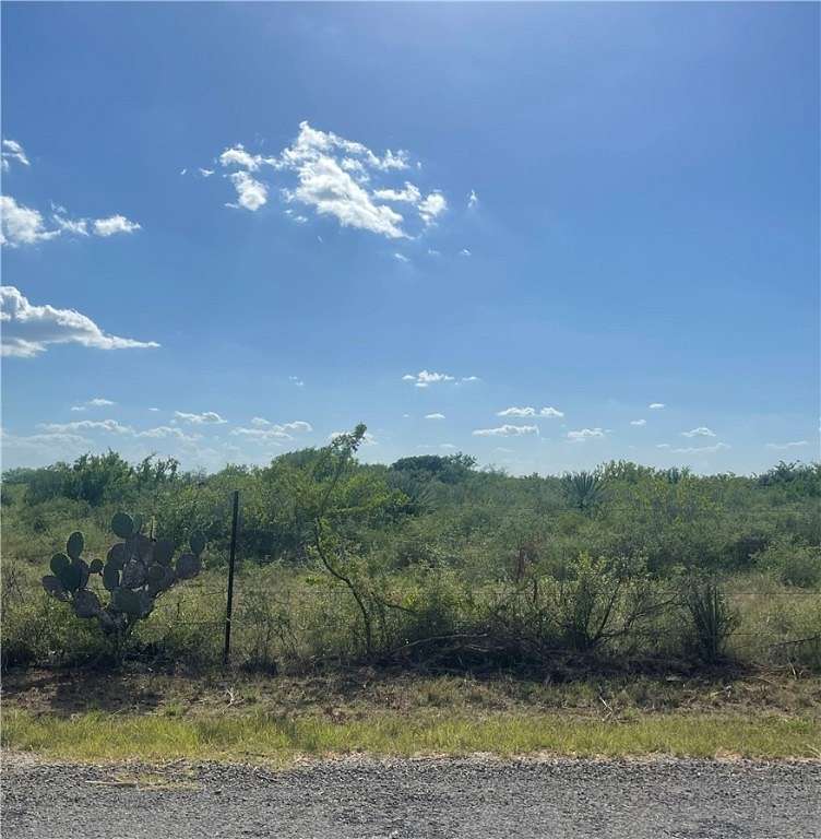 10 Acres of Recreational Land for Sale in Alice, Texas
