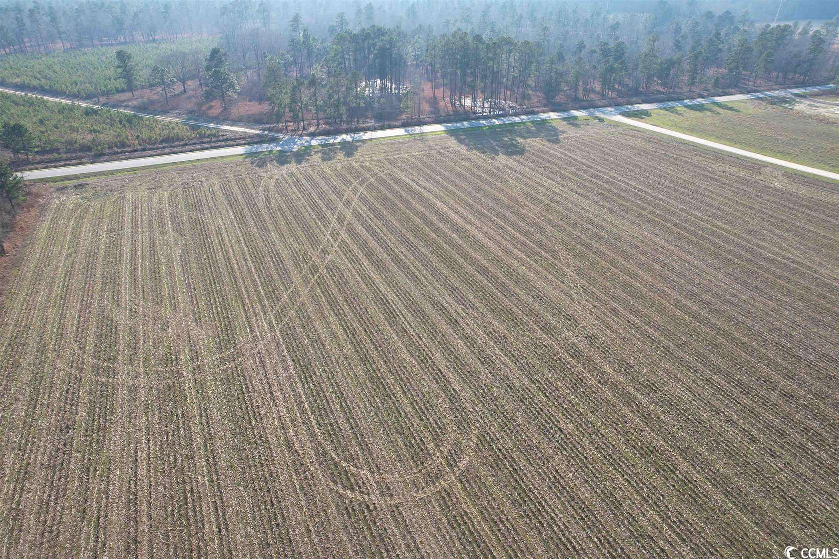 2 Acres of Residential Land for Sale in Salters, South Carolina