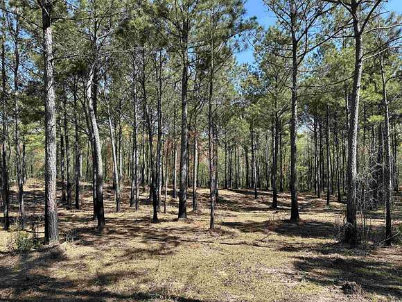 1.2 Acres of Residential Land for Sale in Salters, South Carolina