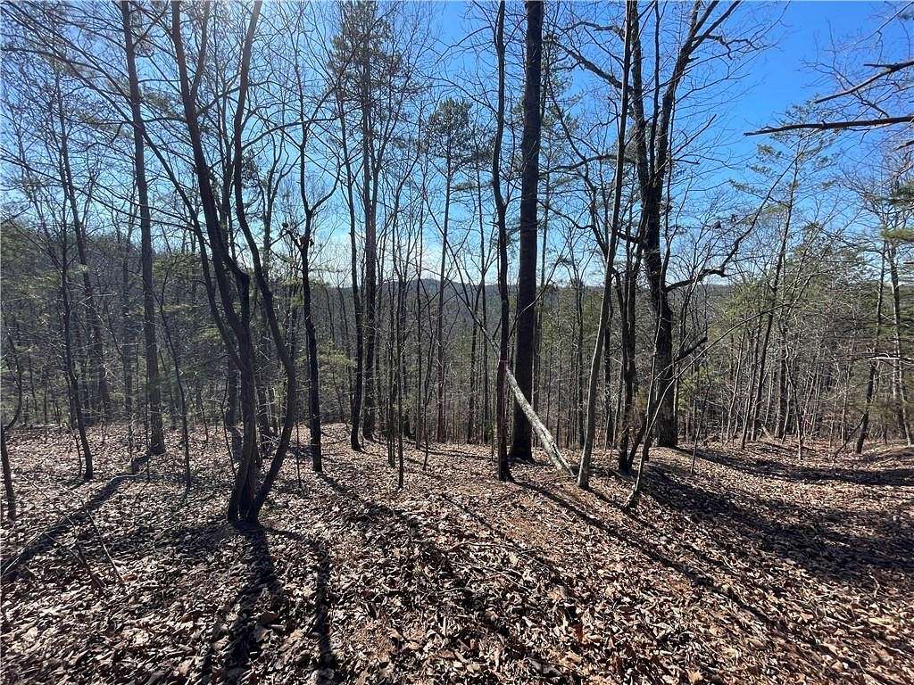 20 Acres of Recreational Land for Sale in Ranger, Georgia