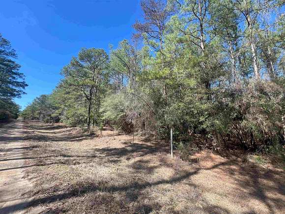 10 Acres of Recreational Land for Sale in Jasper, Texas