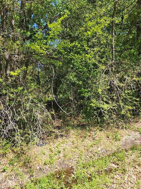 0.48 Acres of Land for Sale in Mabank, Texas