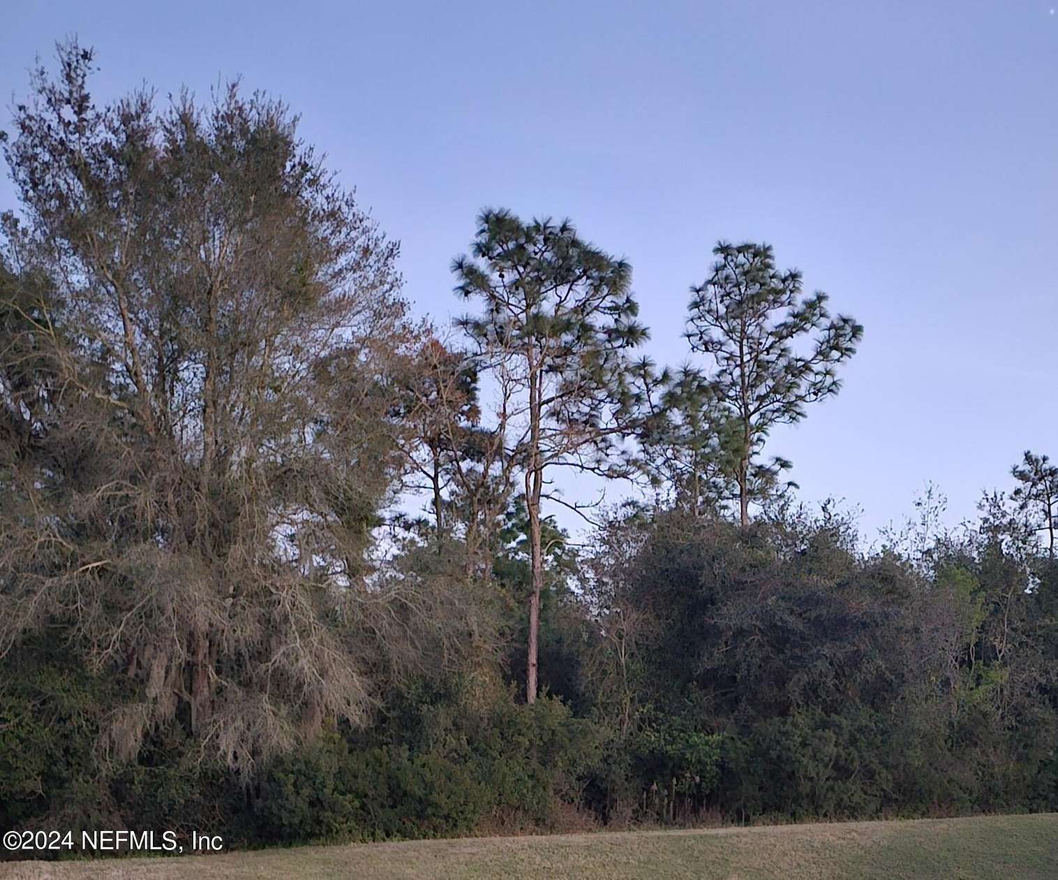 1.4 Acres of Residential Land for Sale in Jacksonville, Florida