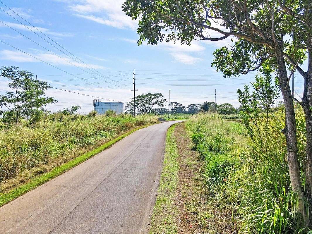 20 Acres of Land for Sale in Pepeekeo, Hawaii