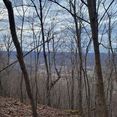 46 Acres of Land for Sale in Spring City, Tennessee