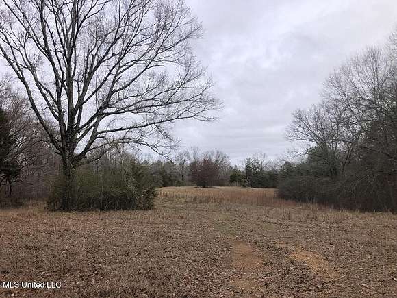 50 Acres of Land for Sale in Goodman, Mississippi