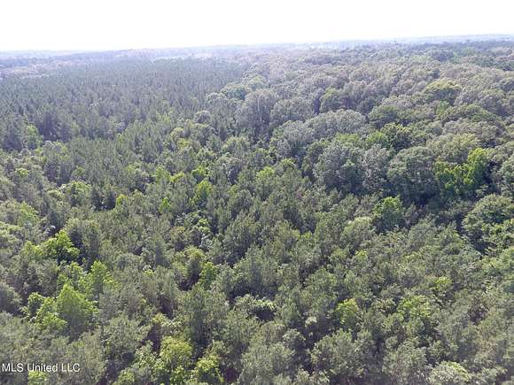 10 Acres of Recreational Land for Sale in Lena, Mississippi