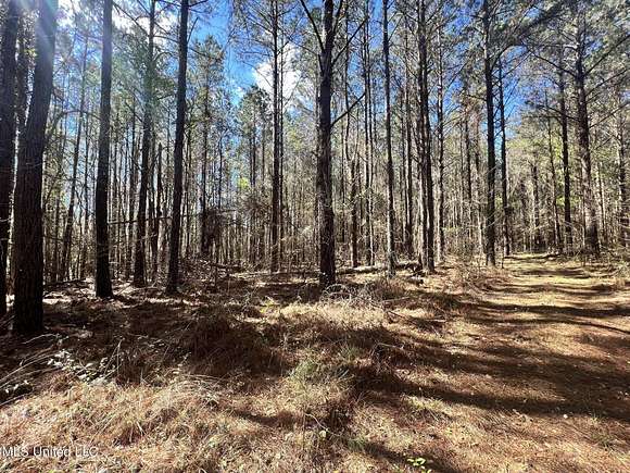 13.9 Acres of Recreational Land for Sale in Lena, Mississippi