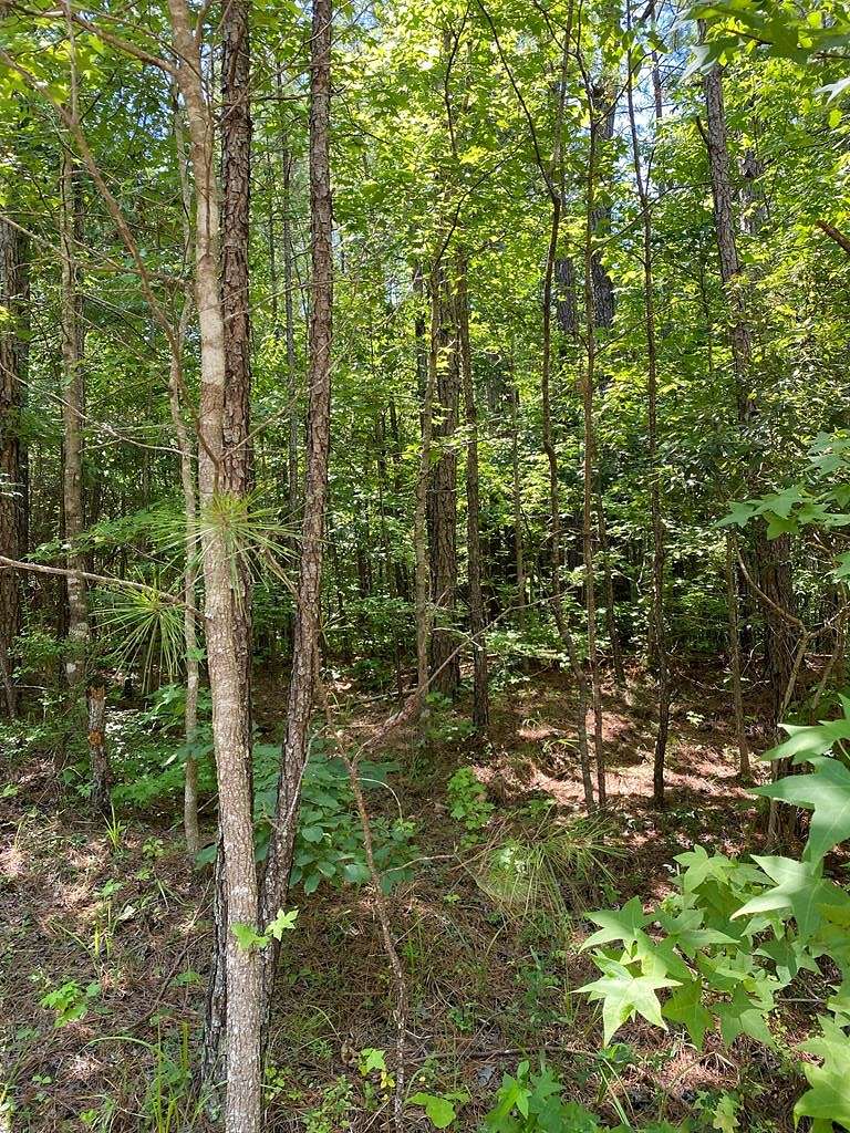 0.83 Acres of Residential Land for Sale in Sparta, Georgia