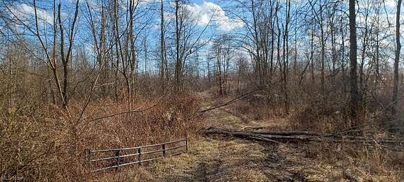 2.3 Acres of Residential Land for Sale in Warren, Ohio