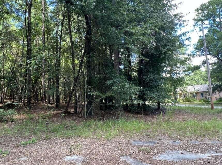0.22 Acres of Residential Land for Sale in Williston, South Carolina