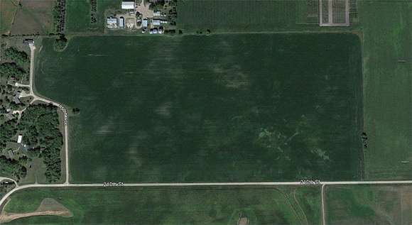 81.9 Acres of Agricultural Land for Auction in Morris, Minnesota