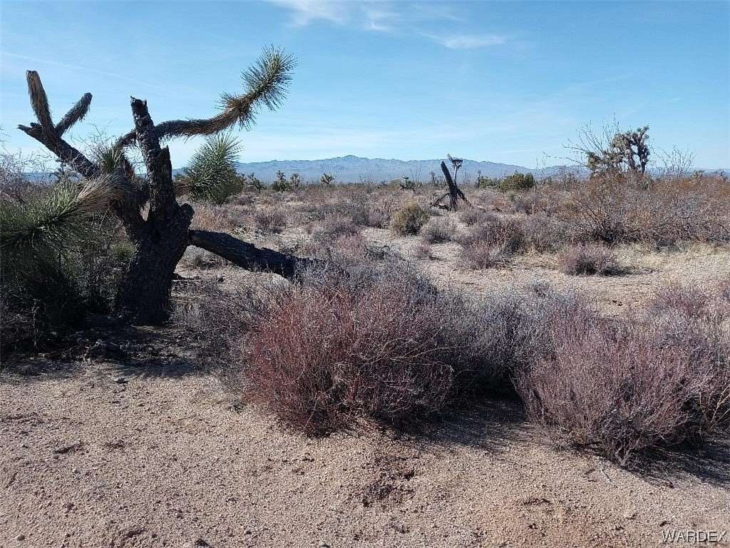 40 Acres of Land for Sale in Yucca, Arizona