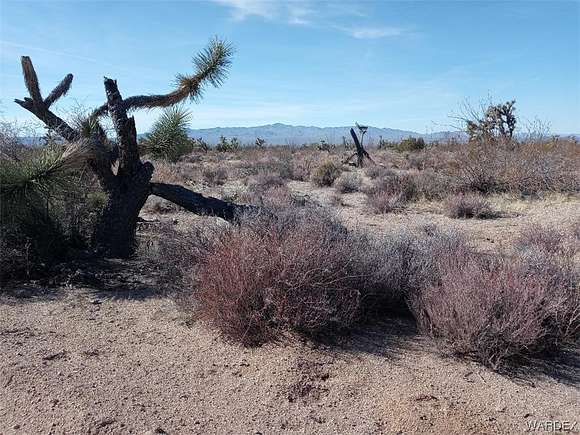 40.1 Acres of Agricultural Land for Sale in Yucca, Arizona