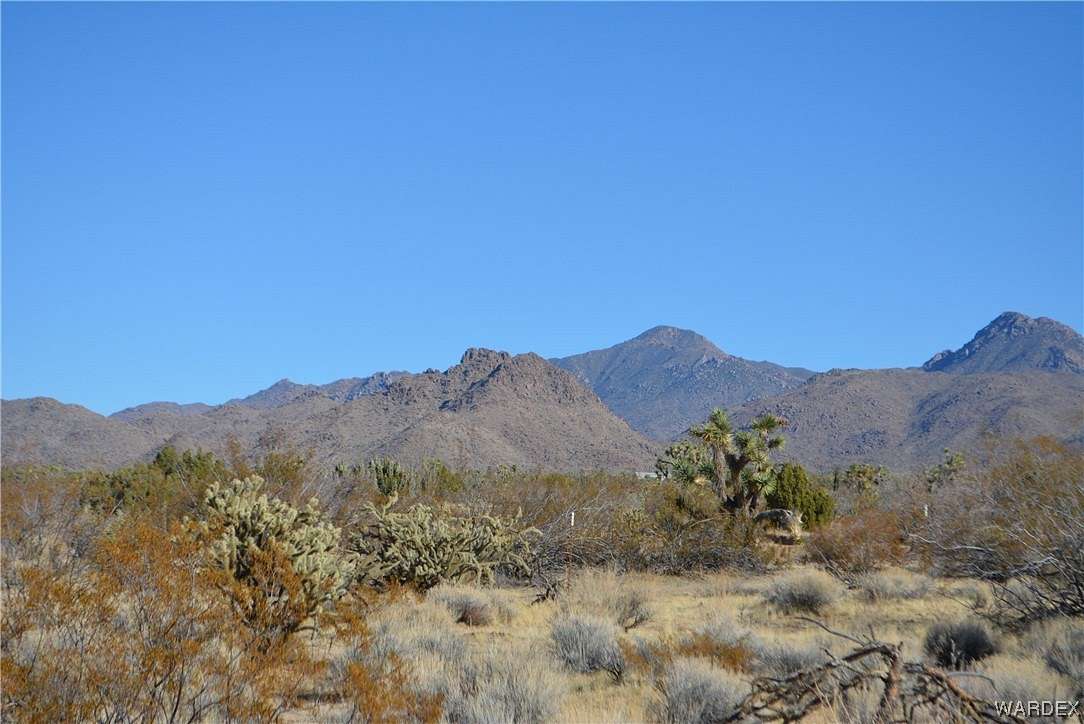 39.9 Acres of Agricultural Land for Sale in Yucca, Arizona