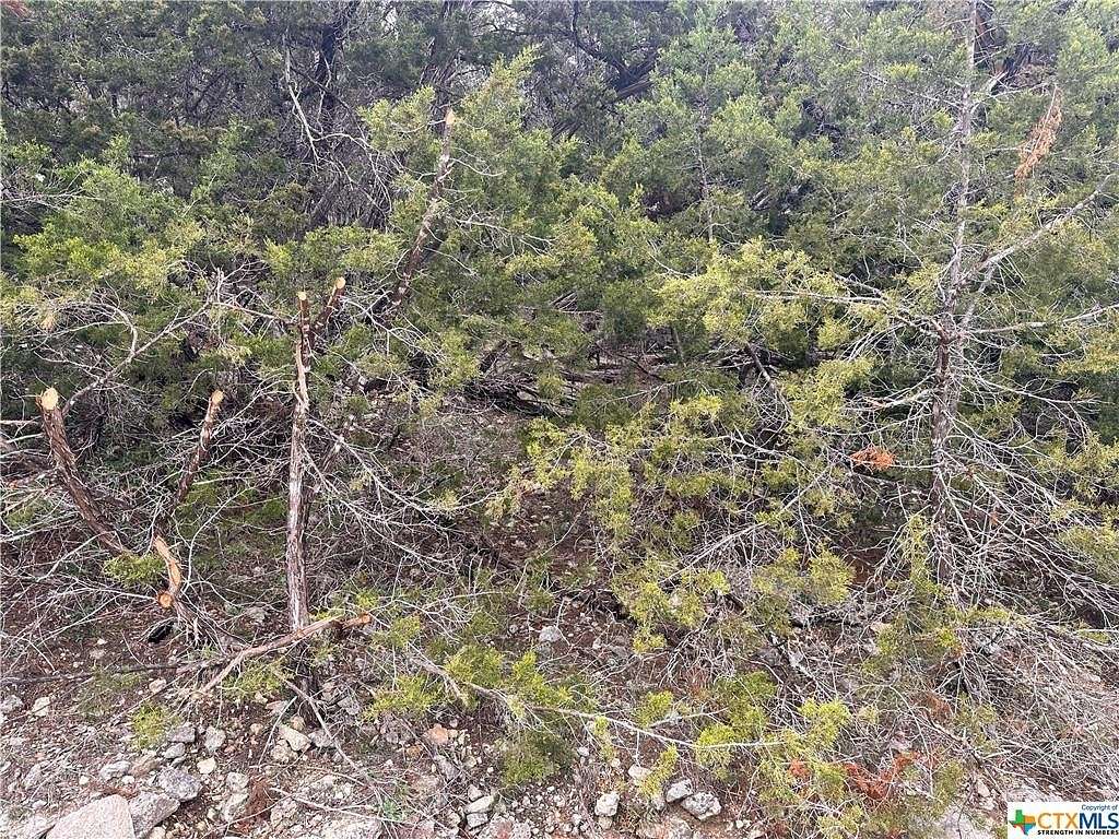 0.58 Acres of Residential Land for Sale in Canyon Lake, Texas