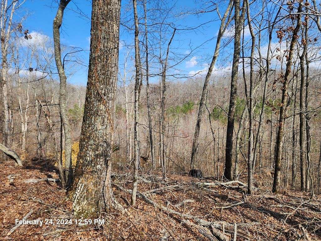 0.45 Acres of Residential Land for Sale in Holladay, Tennessee