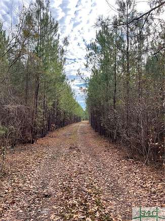 219 Acres of Land for Sale in Newington, Georgia