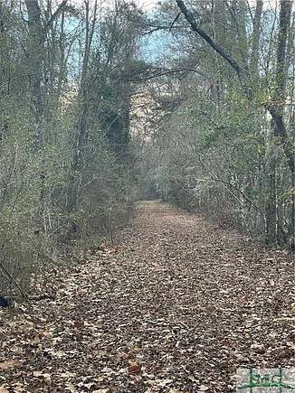 89.1 Acres of Land for Sale in Newington, Georgia