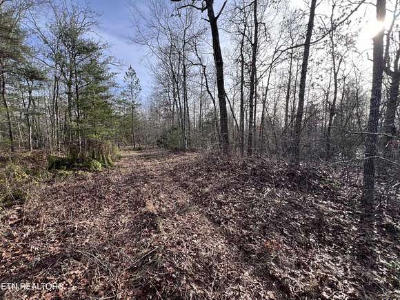 13 Acres of Recreational Land for Sale in Deer Lodge, Tennessee