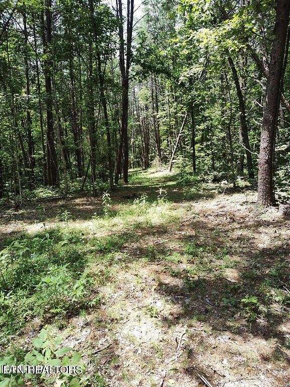 18 Acres of Land for Sale in Tellico Plains, Tennessee
