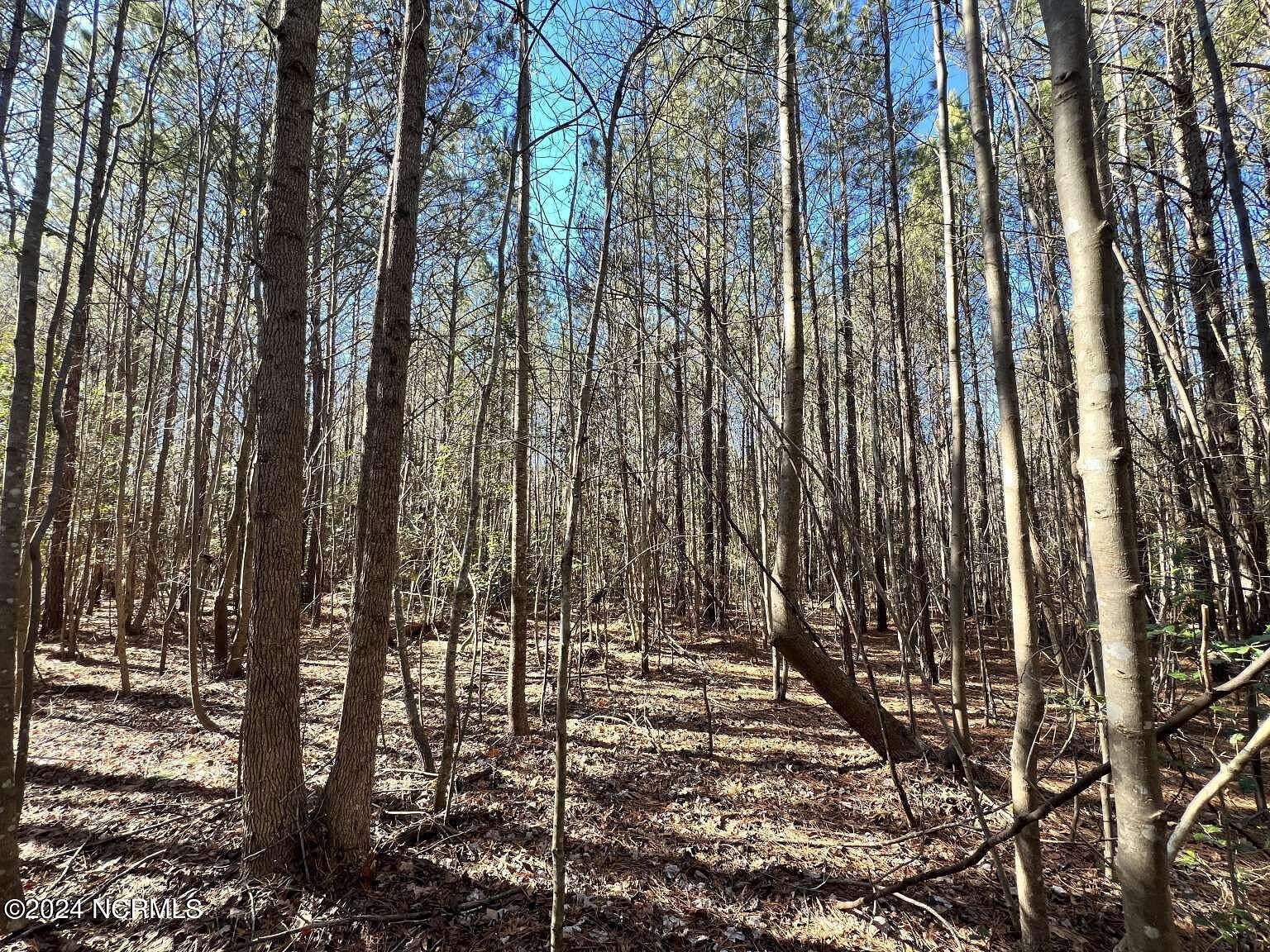 28.7 Acres of Land for Sale in Ellerbe, North Carolina