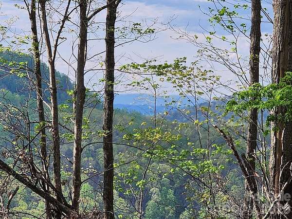 1.62 Acres of Land for Sale in Bostic, North Carolina