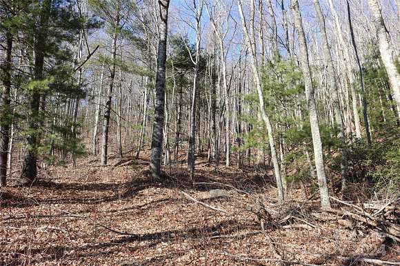 10.2 Acres of Land for Sale in Fairview, North Carolina