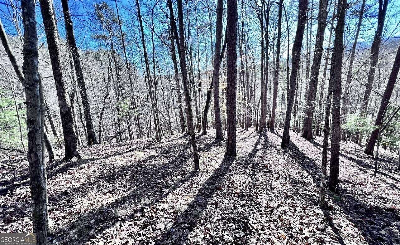1.4 Acres of Residential Land for Sale in Ellijay, Georgia