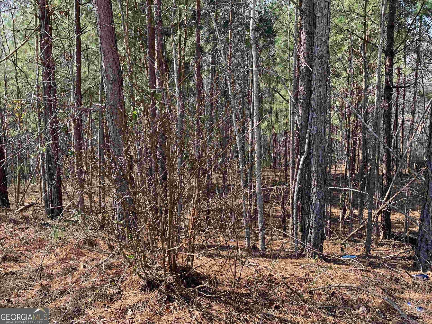 0.41 Acres of Residential Land for Sale in Monticello, Georgia