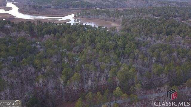 0.45 Acres of Residential Land for Sale in Tignall, Georgia